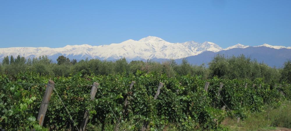 Mendoza: Wine And Mountains